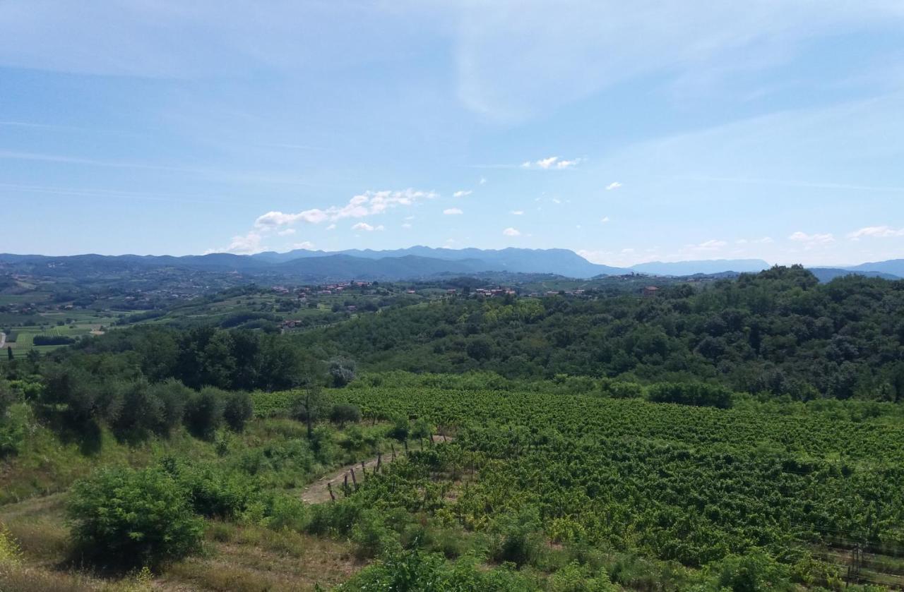 Agriturismo Casa Delle Rose Winery Ruttàrs Exterior foto