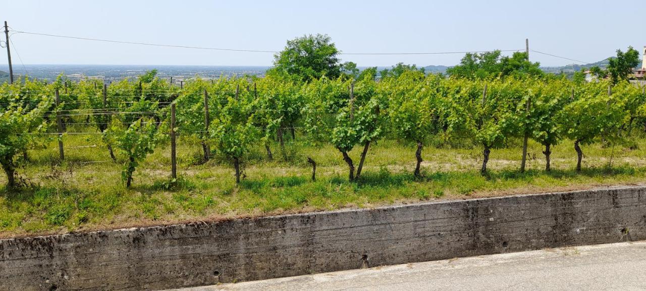 Agriturismo Casa Delle Rose Winery Ruttàrs Exterior foto