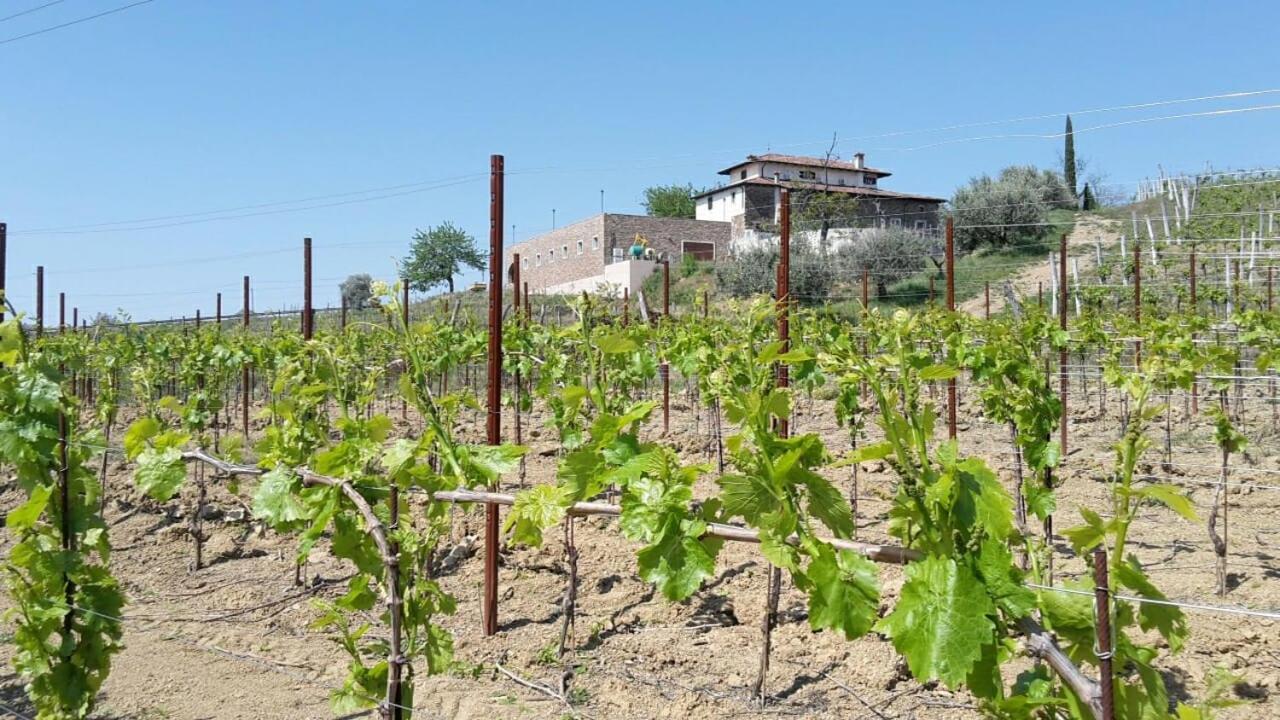 Agriturismo Casa Delle Rose Winery Ruttàrs Exterior foto