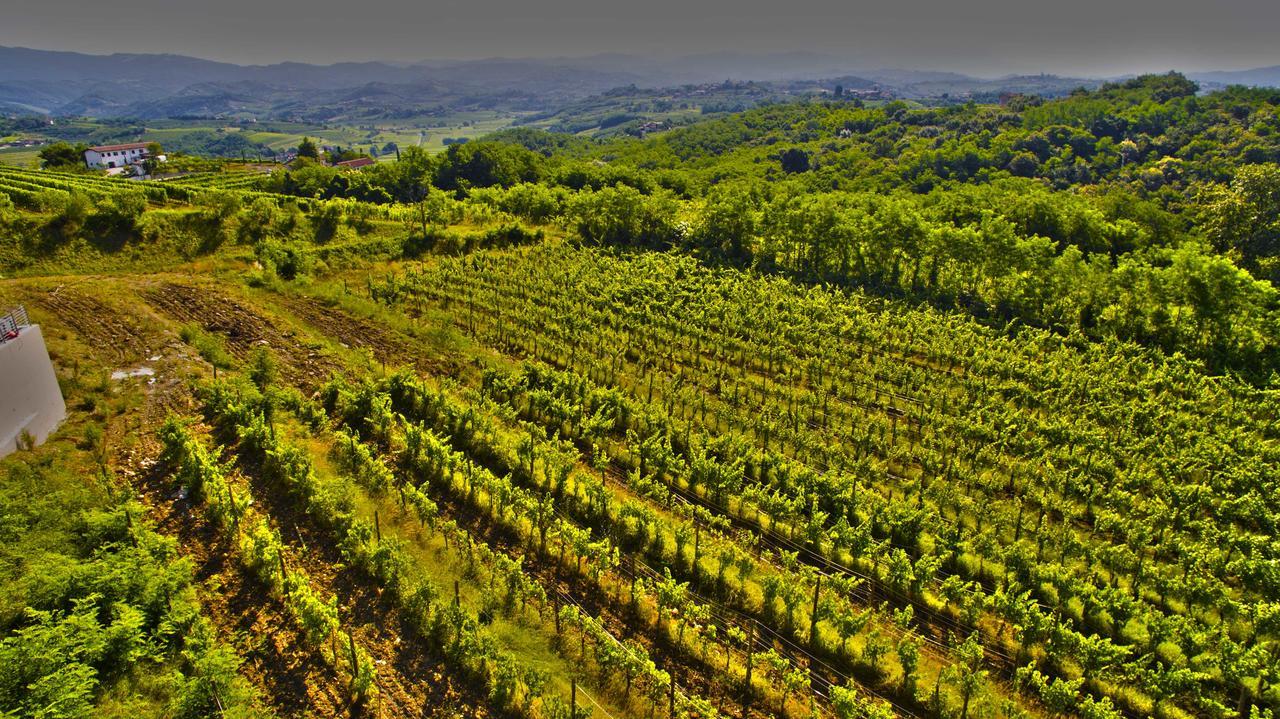 Agriturismo Casa Delle Rose Winery Ruttàrs Exterior foto